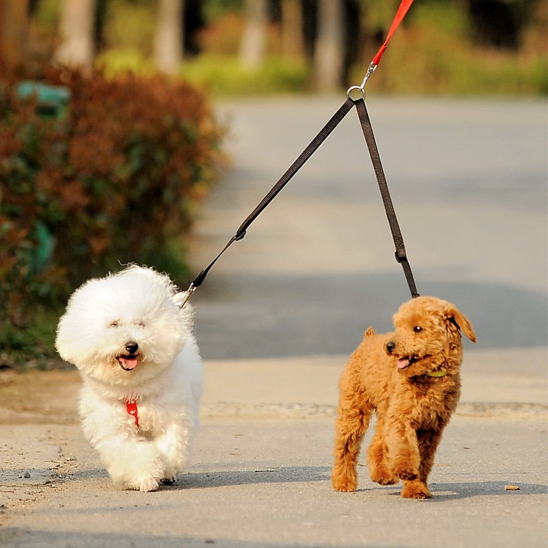 Double Leash Twin Lead Coupler.