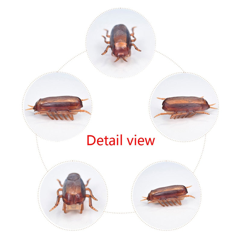 Mini Robotic Insects and Bugs