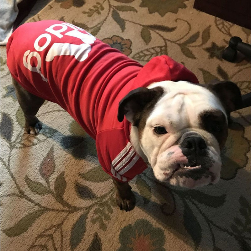 Adidog Sport Hoodies.