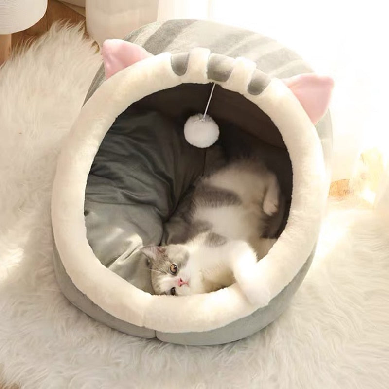 Cozy Kitten House.