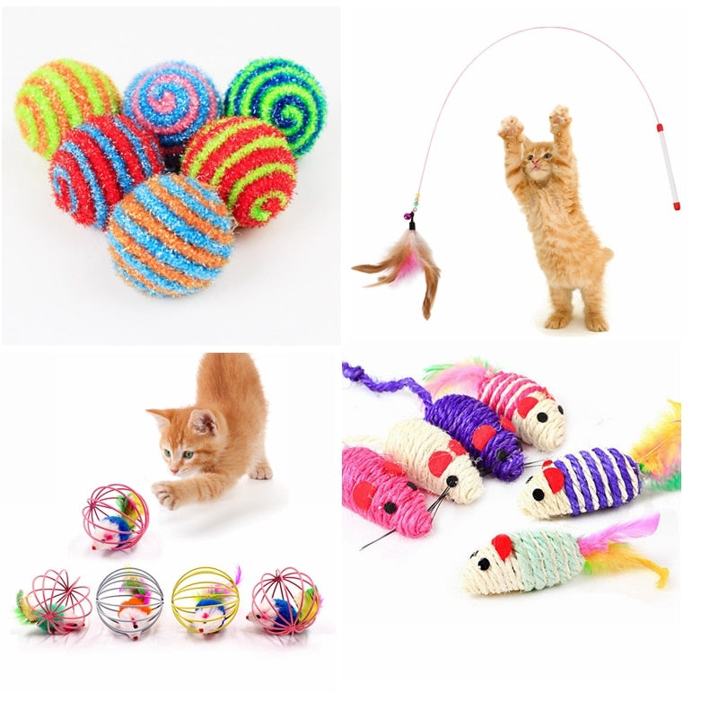Assorted Interactive Cat Toys.