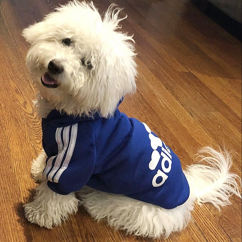 Adidog Sport Hoodies.