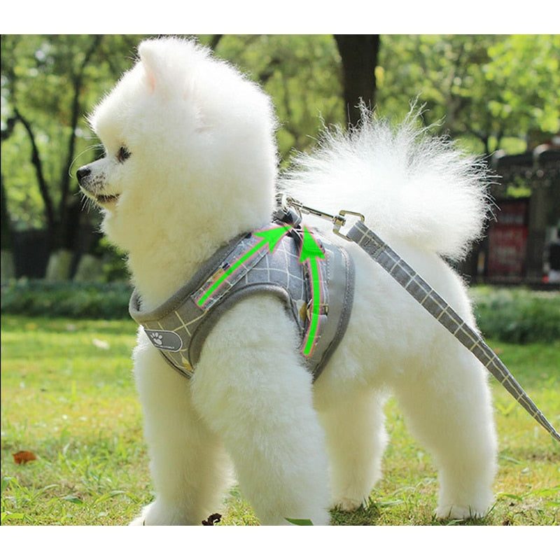Dogs Reflective Mesh Harness.