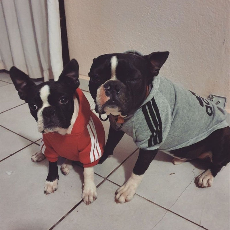 Adidog Sport Hoodies.