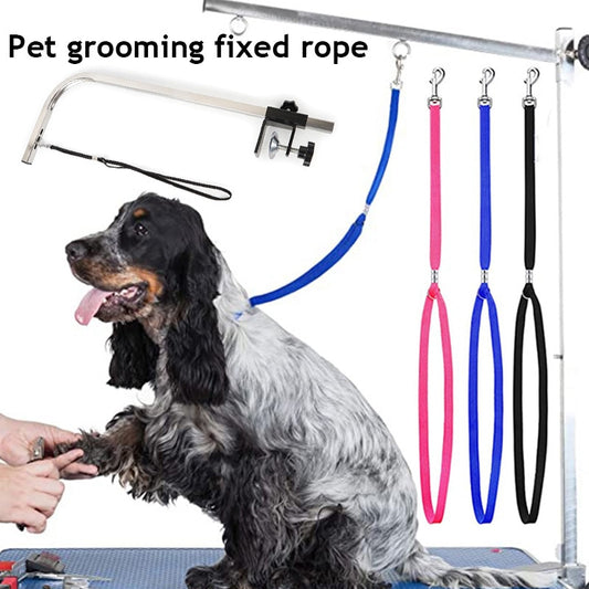 Pet Grooming Fixed Lead.