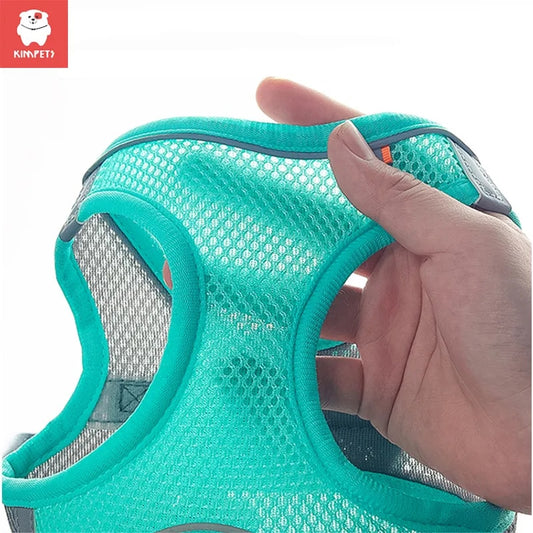 Dog Harness for Small Dogs.