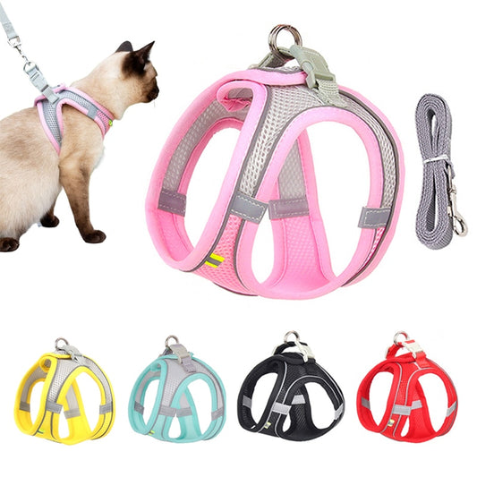 Comfortable and Safe Cat Harness.