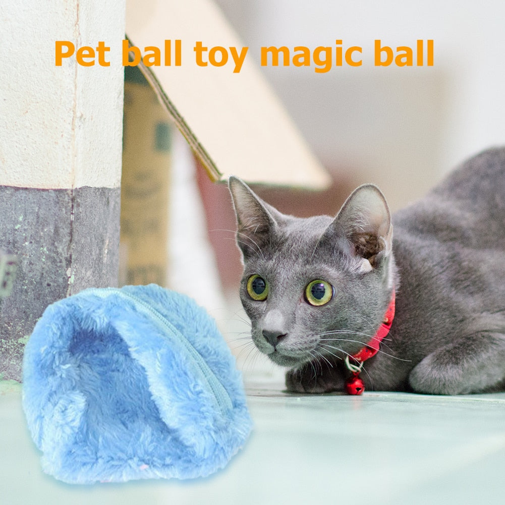 Magic Interactive Rolling Ball For Cats and Dogs.