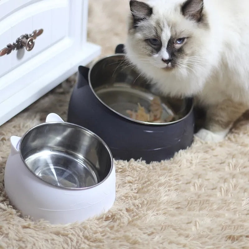 Tilted Stainless Steel Cat/Dog Bowl.