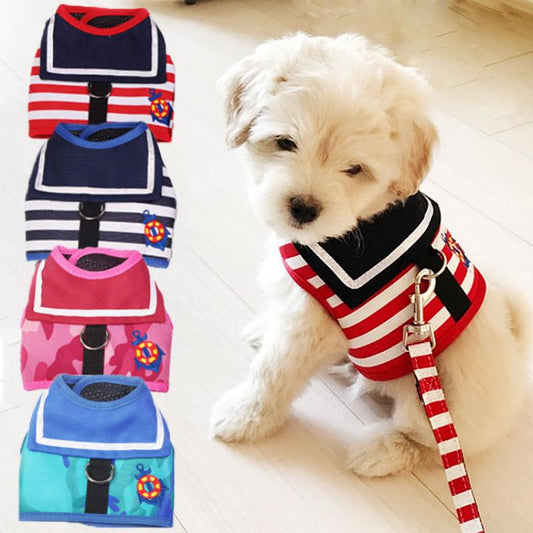Cute Vest and Harness Set.
