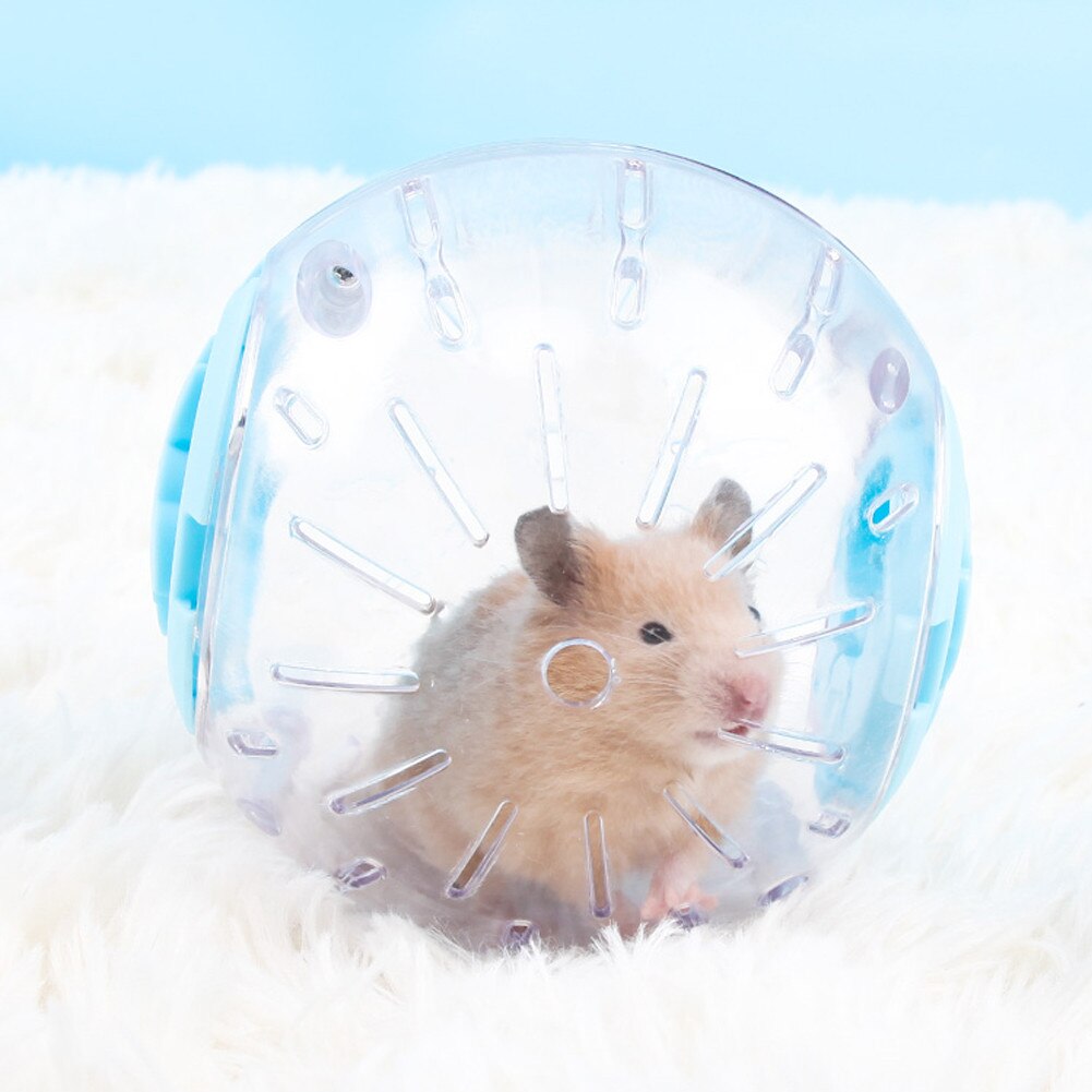 Plastic Outdoor Hamster & Mouse Sports Ball.