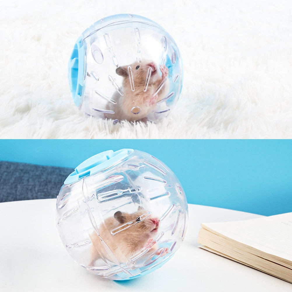 Plastic Outdoor Hamster & Mouse Sports Ball.