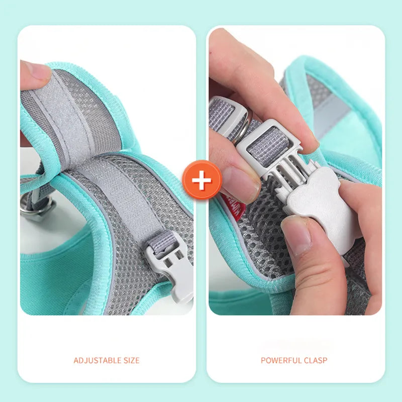 Dog Harness for Small Dogs.