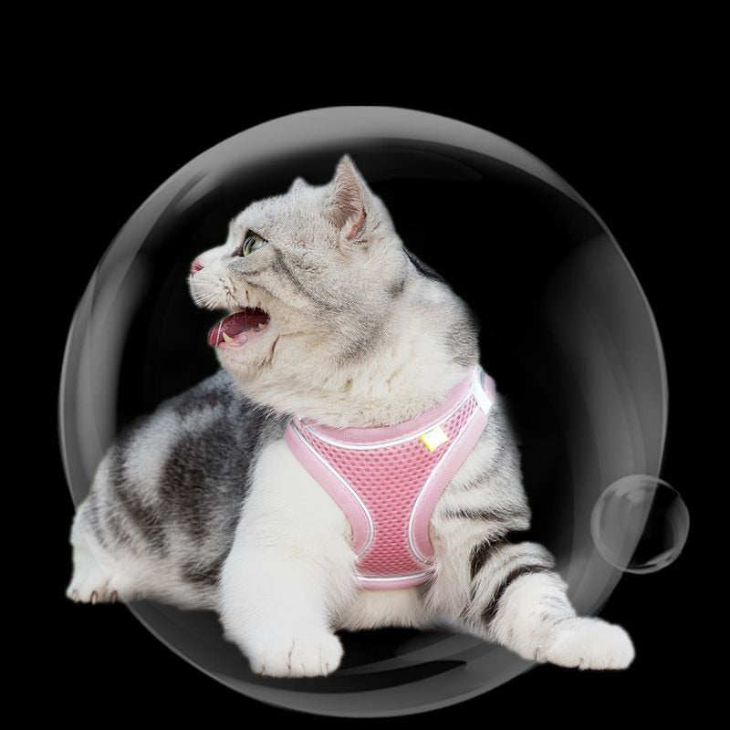 Comfortable and Safe Cat Harness.