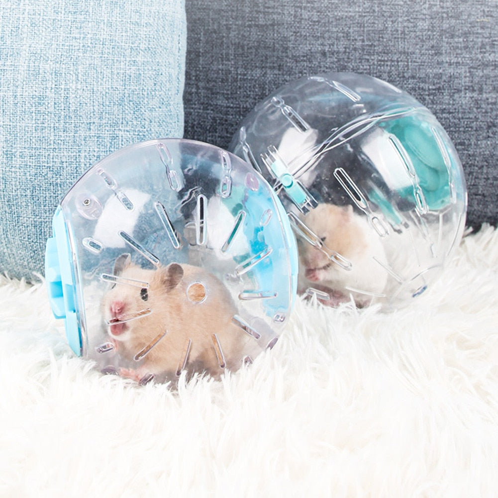 Plastic Outdoor Hamster & Mouse Sports Ball.