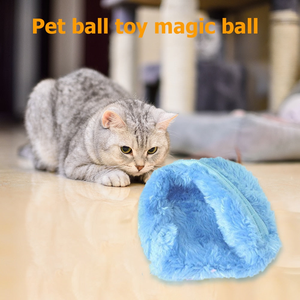 Magic Interactive Rolling Ball For Cats and Dogs.