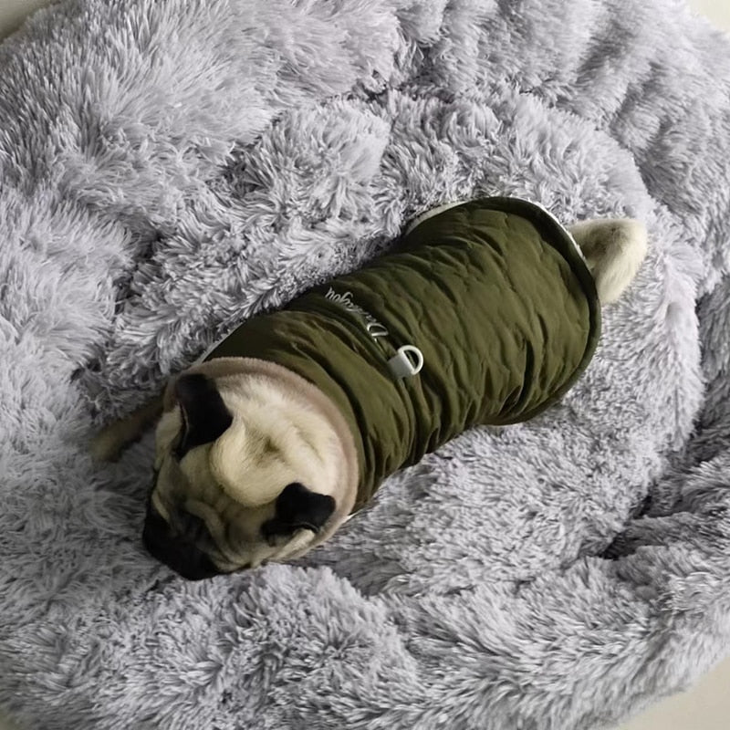 Waterproof Fur Collar Dog Jacket.