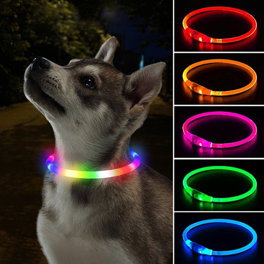 LED Rechargeable Dog Collar.