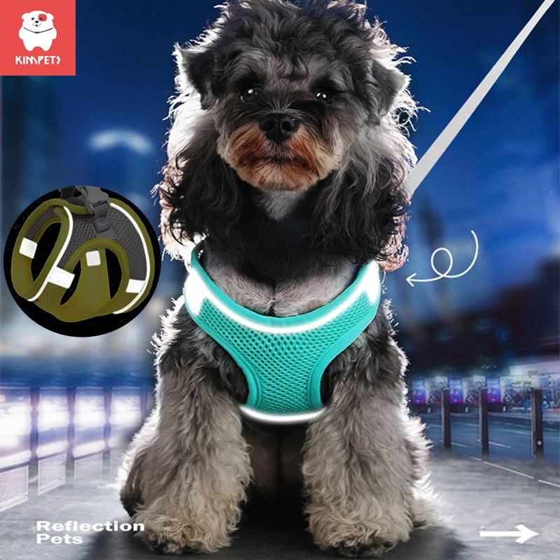 Dog Harness for Small Dogs.