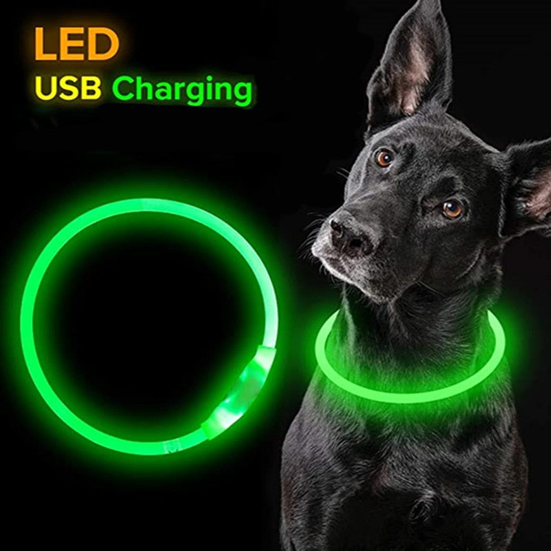 LED Rechargeable Dog Collar.